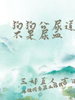 狗狗公尿道滴血不是尿血