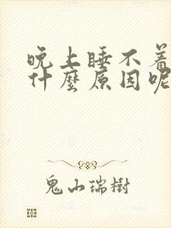 晚上睡不着觉是什么原因呢