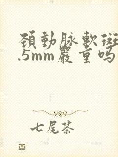 颈动脉软斑块1.5mm严重吗