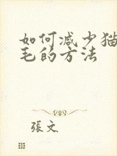 如何减少猫咪掉毛的方法