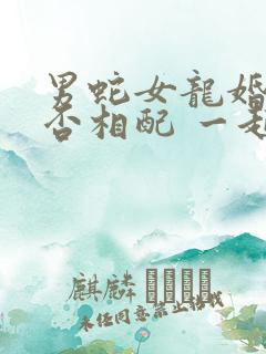 男蛇女龙婚姻是否相配 一起合适吗