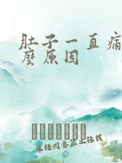 肚子一直痛是什么原因