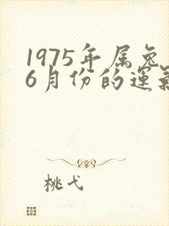 1975年属兔6月份的运气怎么样