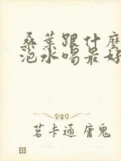 桑叶跟什么一起泡水喝最好