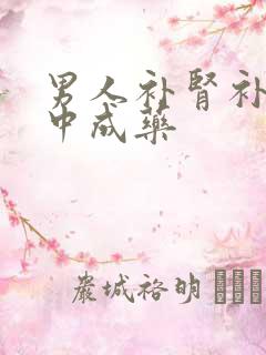 男人补肾补肺的中成药