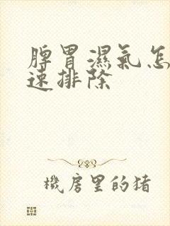 脾胃湿气怎样快速排除