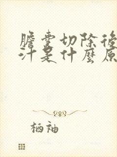 胆囊切除后吐胆汁是什么原因