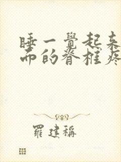 睡一觉起来腰后面的脊椎疼