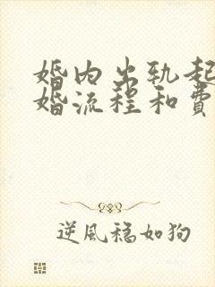 婚内出轨起诉离婚流程和费用