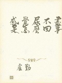 感觉尿不尽尿频是怎么回事