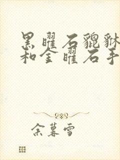 黑曜石貔貅手链和金曜石手链的戴法