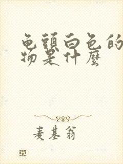 龟头白色的分泌物是什么