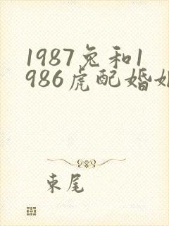 1987兔和1986虎配婚姻好不好