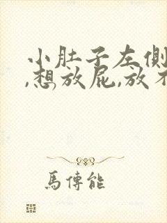 小肚子左侧胀气,想放屁,放不出来