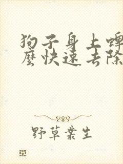 狗子身上蜱虫怎么快速去除