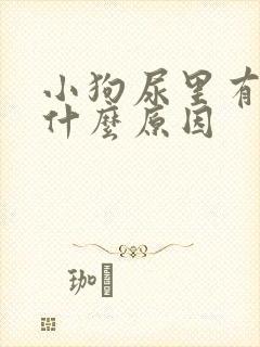 小狗尿里有血是什么原因