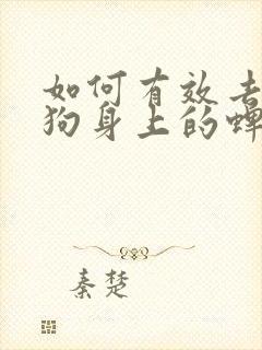 如何有效去除狗狗身上的蜱虫