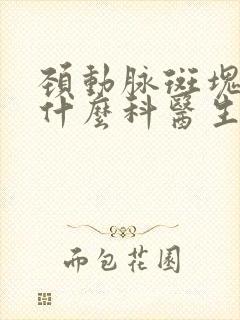 颈动脉斑块要看什么科医生