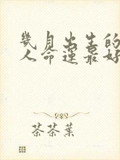 几月出生的鸡男人命运最好