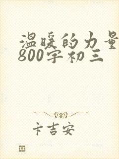 温暖的力量作文800字初三