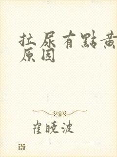 拉尿有点黄什么原因