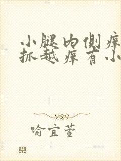 小腿内侧痒痒越抓越痒有小红疙瘩