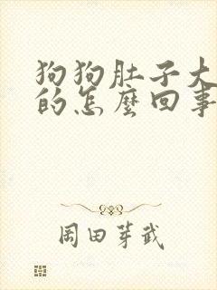 狗狗肚子大硬硬的怎么回事