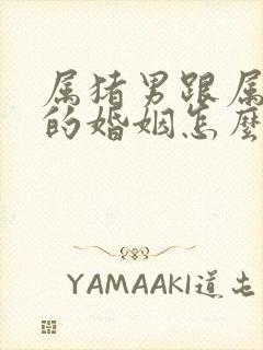 属猪男跟属鼠女的婚姻怎么样