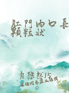 肛门内口长个小颗粒状