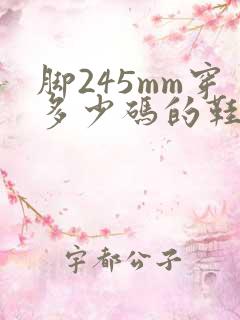 脚245mm穿多少码的鞋