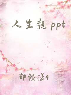 人生观 ppt