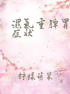 湿气重脾胃不和症状