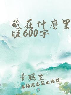 藏在什么里的温暖600字
