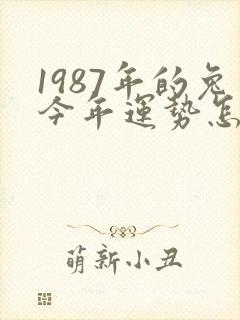 1987年的兔今年运势怎么样