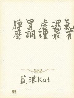 脾胃虚湿气重怎么调理最有效