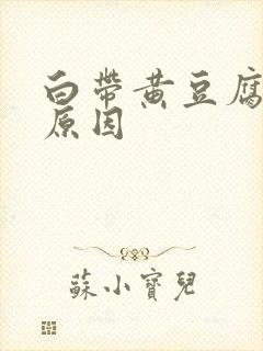 白带黄豆腐渣的原因