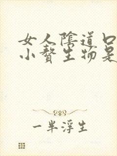 女人阴道口内长小赘生物是怎么回事