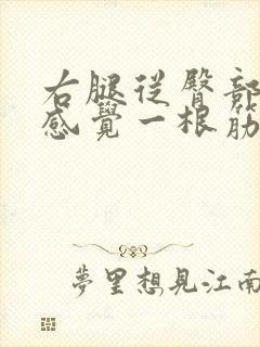 右腿从臀部到腿感觉一根筋扯着疼