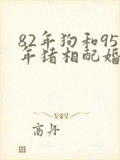 82年狗和95年猪相配婚姻如何