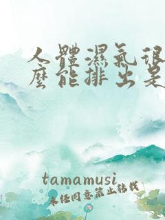 人体湿气很重怎么能排出是