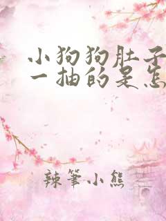 小狗狗肚子一抽一抽的是怎么回事