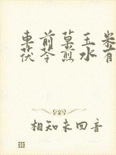 车前草玉米须土茯苓煎水有什么功效