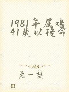 1981年属鸡41岁以后命运
