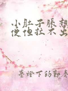 小肚子胀想上大便但拉不出来怎么回事