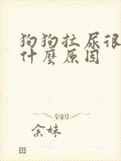 狗狗拉尿很黄是什么原因