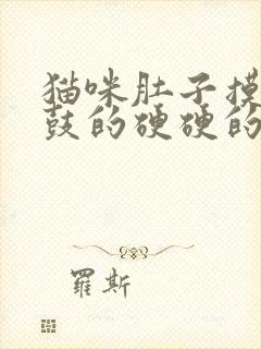 猫咪肚子摸着鼓鼓的硬硬的