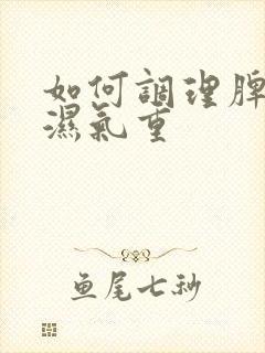 如何调理脾胃虚湿气重