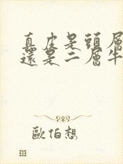 真皮是头层牛皮还是二层牛皮