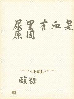 尿里有血是什么原因