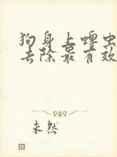 狗身上蜱虫怎么去除最有效